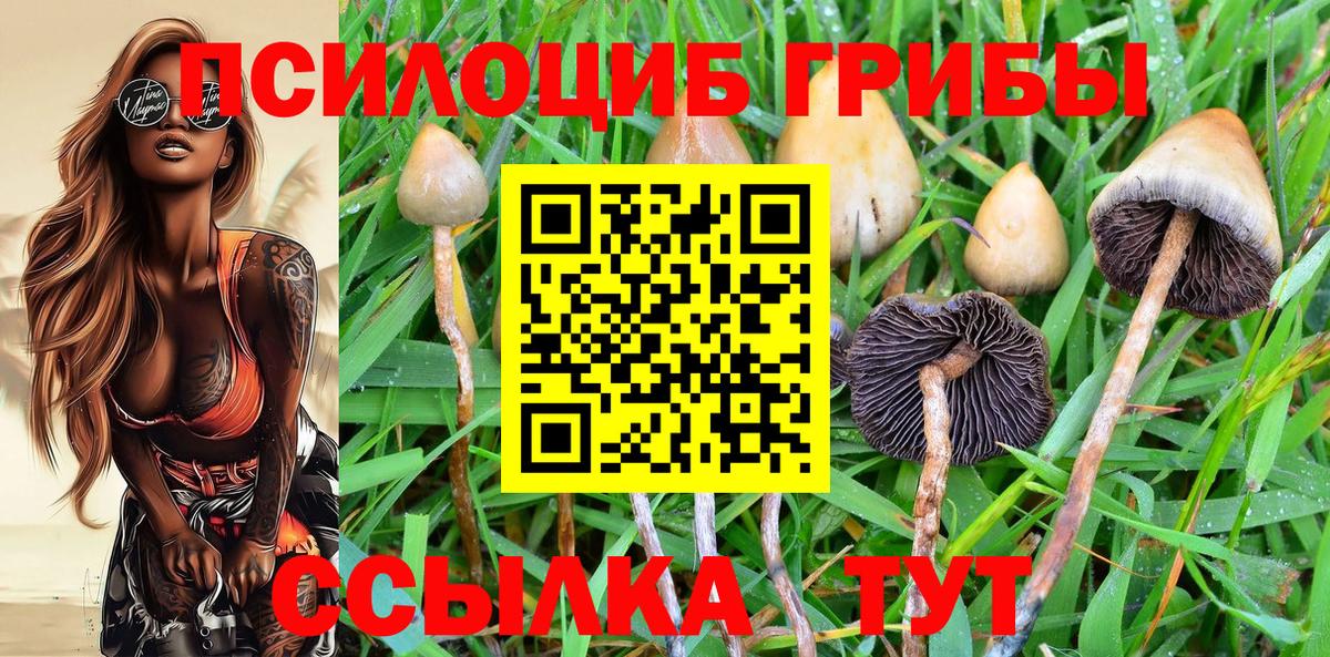 Псилоцибиновые грибы MAGIC MUSHROOMS  Вход с VPN  Киржач 